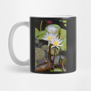 Water Lilies Mug